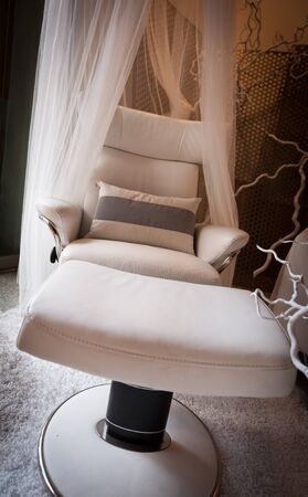 Modern lounge chair with a gauze canopyの写真素材