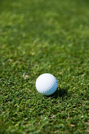 

White golf ball against the green grass

の写真素材