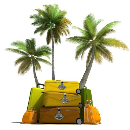 Island like composition showing tropical vegetation and beautiful matching luggage の写真素材