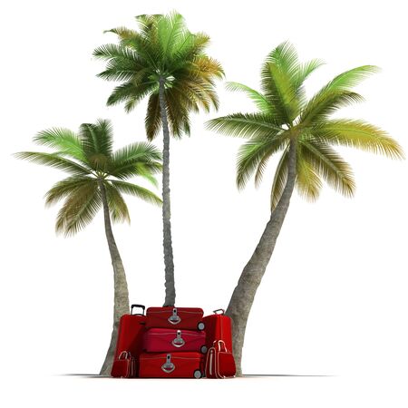 Island like composition showing tropical vegetation and beautiful red luggageの写真素材