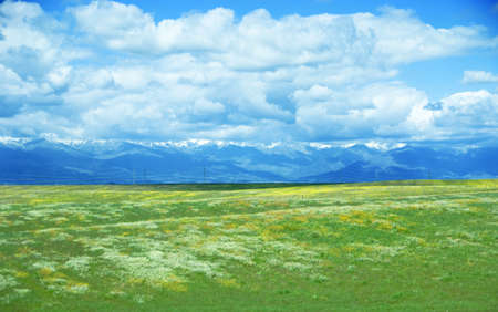 Landscape with a meadow with spring flowers with snowy mountains at the backgroundの写真素材