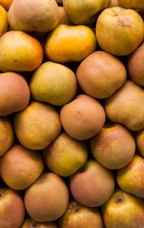 A pile of russet apples in the grocery shopの写真素材