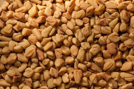 Macro shot on whole fenugreek seeds,の写真素材