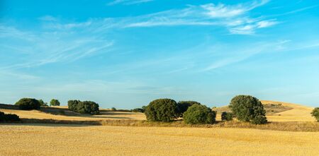 Arid landscape typical of La Mancha in Spainの写真素材