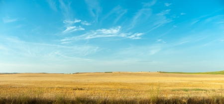 Arid landscape typical of La Mancha in Spainの写真素材
