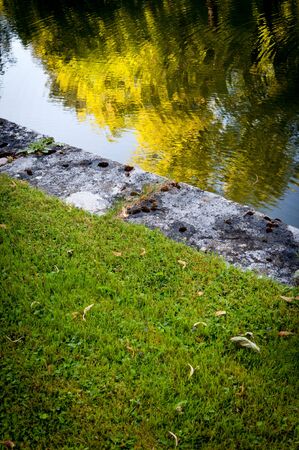 Edge of a pond in an ornamental gardenの写真素材
