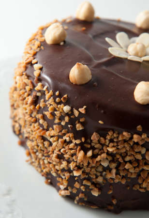 Homemade chocolate cake with almonds and walnutsの写真素材