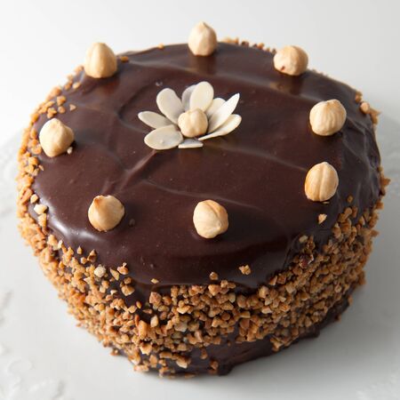 Homemade chocolate cake with almonds and walnutsの写真素材