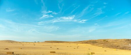 Harvest time for wheat in Spainの写真素材