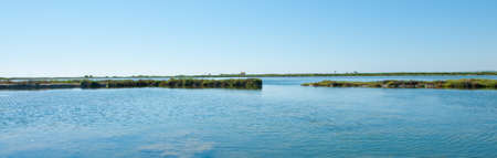 Panoramic view of an estuary with water and vegetation