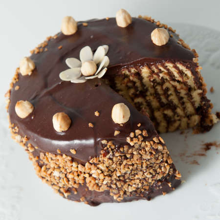 Homemade chocolate cake with almonds and walnutsの写真素材