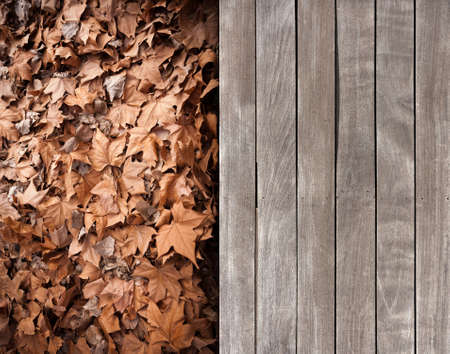 Contrasting texture of wooden deck and dead leavesの写真素材