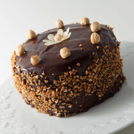 Homemade chocolate cake with almonds and walnutsの写真素材