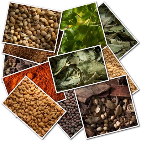 Collection of pictures of different spicesの写真素材