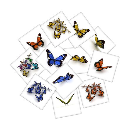 Collage of different renderings of colorful butterfliesの写真素材