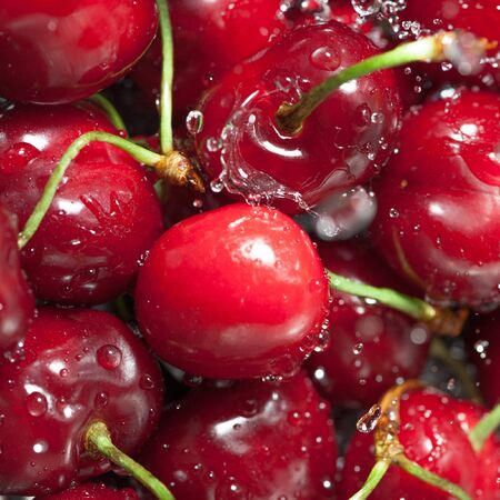 Cherries on a colander splashed by waterの写真素材