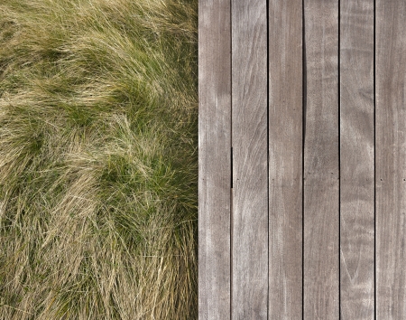 Contrasting texture of wooden deck and wild grassの写真素材