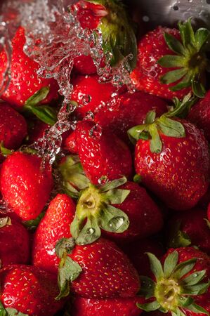 Macro shot on water falling on a group of strawberriesの写真素材