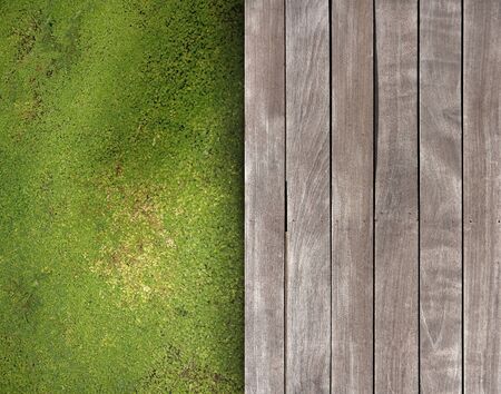 Contrasting textures of wooden deck and green groundの写真素材