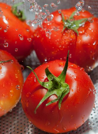 Red tomatoes with splashing waterの写真素材