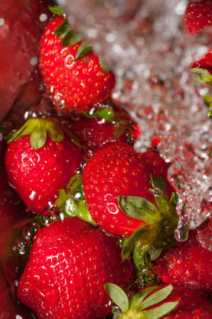 Refreshing image of strawberries splashed by waterの写真素材
