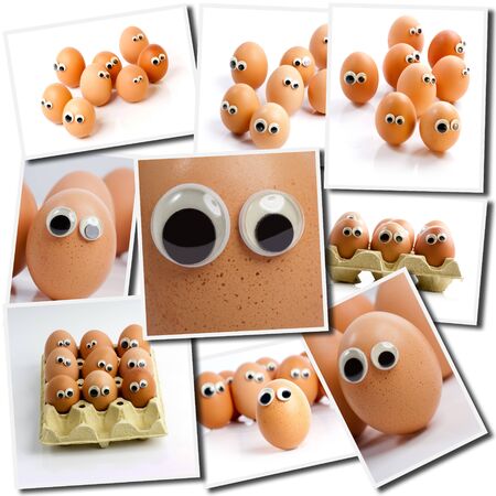 Collection of pictures depicting eggs with funny eyesの写真素材