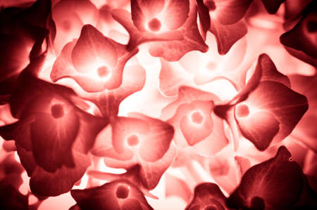 Close up shot on a pink hydrangea ideal for backgrounds and texturesの写真素材
