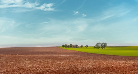 Cultivated and fallow fields in La Mancha, Spainの写真素材