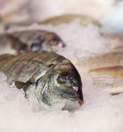 Fish on ice at the fishmongersの写真素材