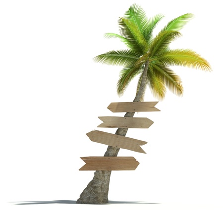 Palm tree with signboards attached to the trunk in a neutral backgroundの写真素材