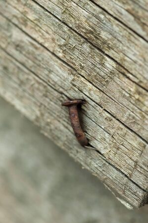 Old weather beaten wooden plank with rusty nailの写真素材