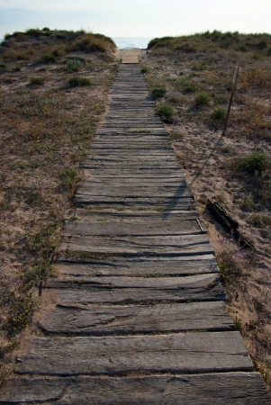 

Boarded path leading to the beach with predawn light

の写真素材