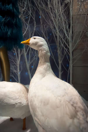 Winter luxurious composition with a goose, frosted trees and Christmas lightsの写真素材
