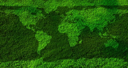 World map texture on green grassの写真素材