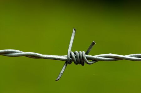 Macro shot on a spike in a barbed wire with a spider web