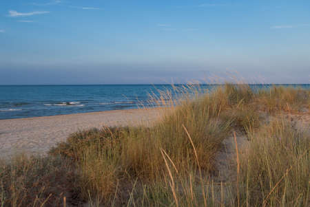 Empty beach with duneの写真素材