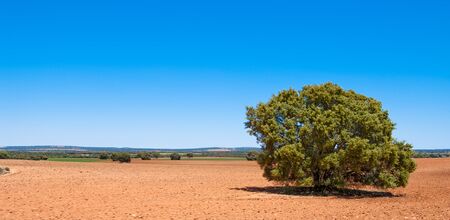 Arid red Spanish landの写真素材