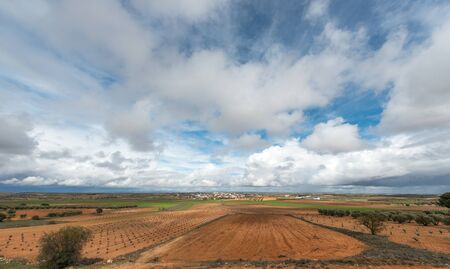 Spanish dry crops, vineyards and olive treesの写真素材