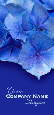Blue flowers backgroundの写真素材