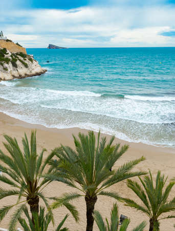 Beautiful Mediterranean beach with palm trees and a rocky islandの写真素材