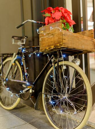 Retro bike with fairy lights and a poinsettia on the basketの写真素材