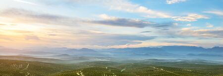 Beautiful landscape with rolling hills covered in olive trees, in Jaen province, Spain.の写真素材