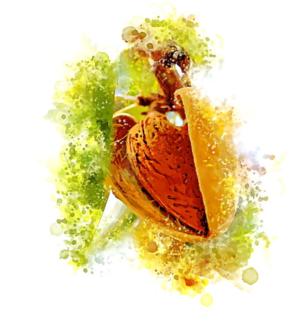 Illustration of Ripe almonds on the tree branchの写真素材