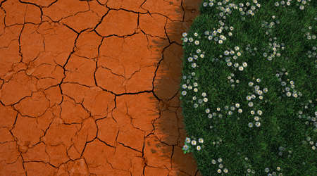 3D rendering of a green lawn with daisies contrasting with a cracked up soil