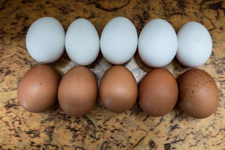 Eggs black and white