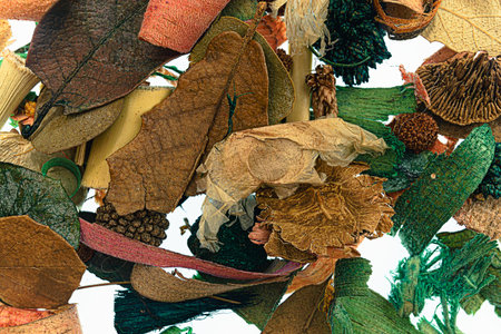Close-up of dried leaves of natural potpourri with white backgroundの写真素材