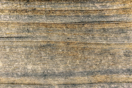 Panel, wallpaper and background with wooden's texture for decorative surfaceの写真素材