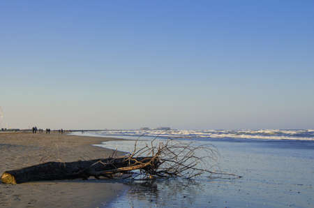 Sea in the winterの写真素材