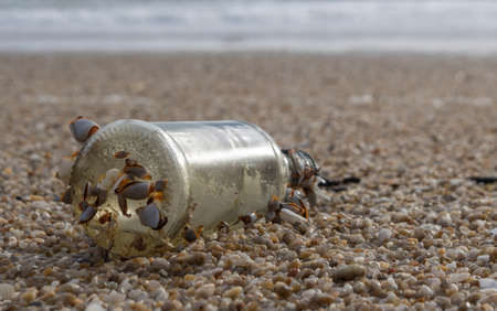 Glass Bottle on the Beachの写真素材