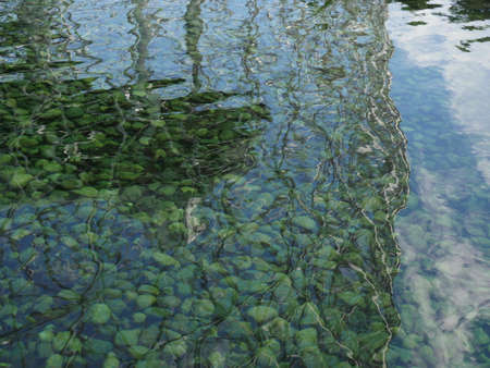 reflections in the water of a lake